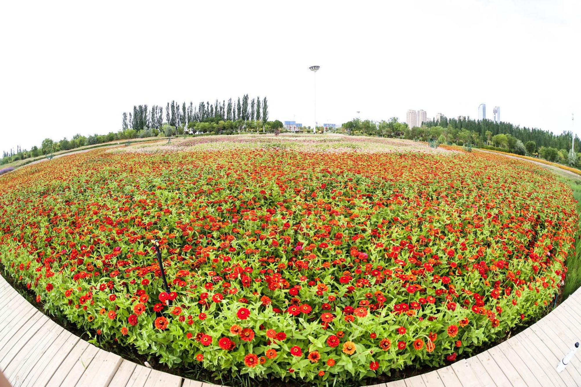 Primus Hotel Yinchuan Eksteriør bilde