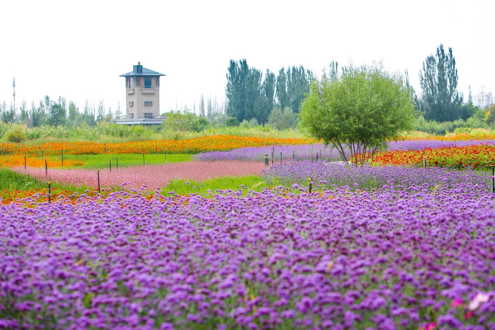 Primus Hotel Yinchuan Eksteriør bilde